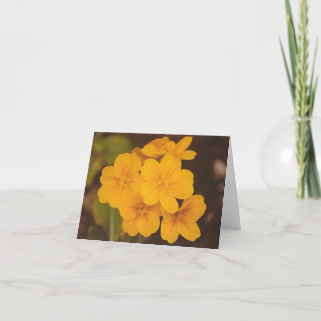 Carte pour notes jaune de fleur (Devant)