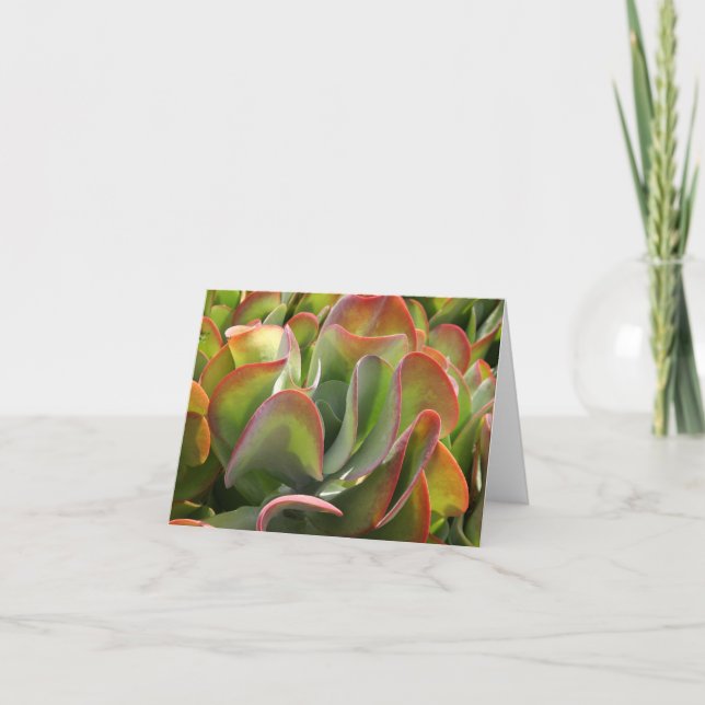 Carte pour notes Kalanchoe (Devant)