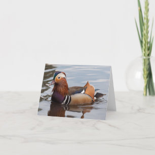 Carte pour notes masculin de canard de mandarine