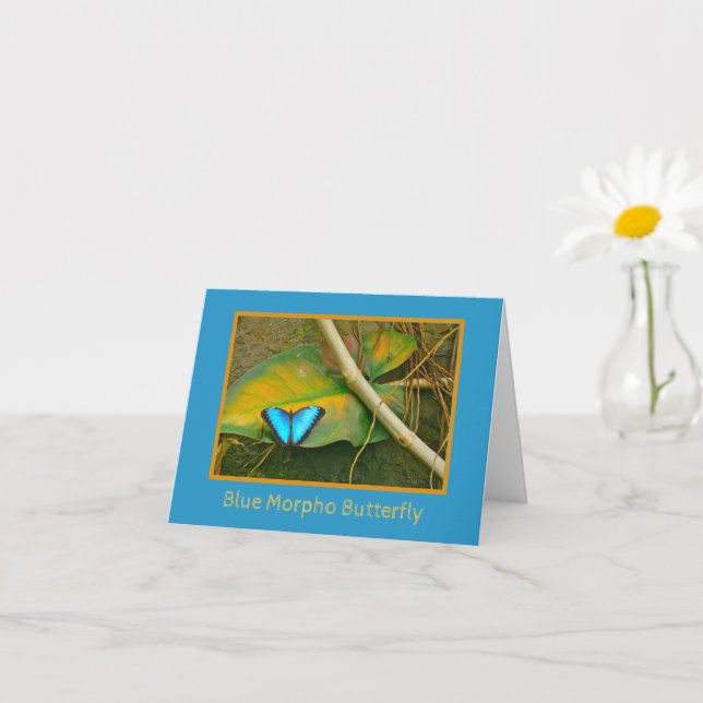 CARTE POUR NOTES MORPHO BLEUE #2 (Petite plante)