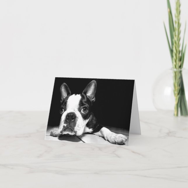 Carte pour notes noir de Chien pourpre de Boston T (Devant)