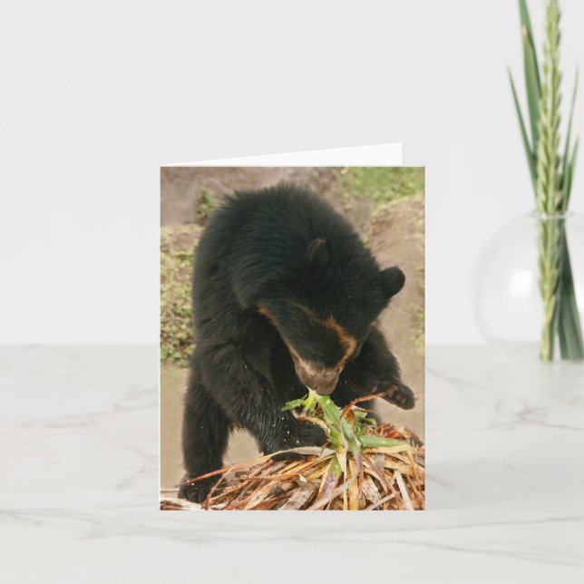 Carte pour notes PB1 de Bubu (Devant)