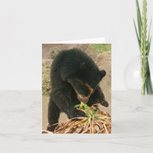 Carte pour notes PB1 de Bubu