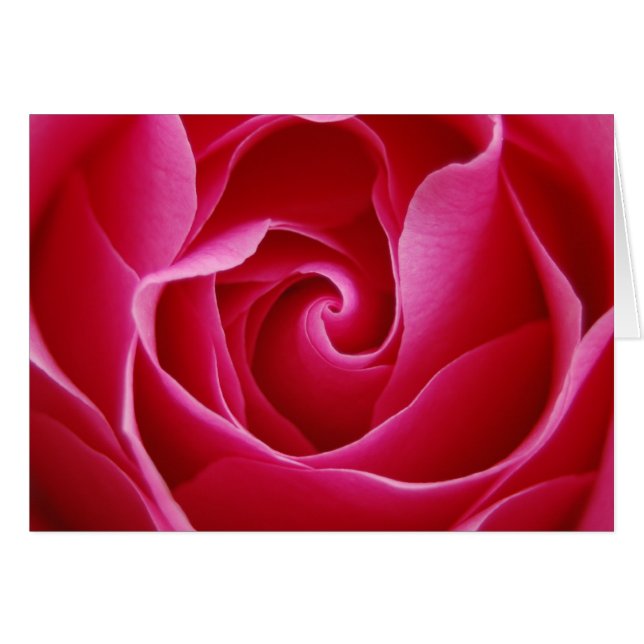 Carte pour notes Red Rose (Devant Horizontal)