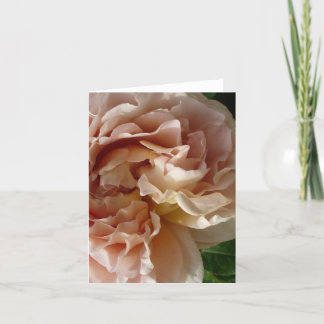 Carte pour notes Rose Lush Blush