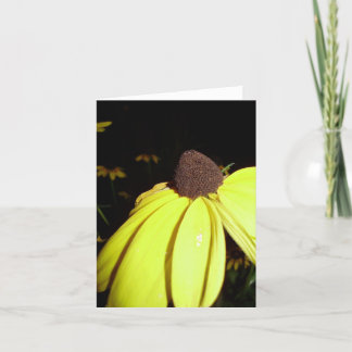 Carte pour notes Rudebekia