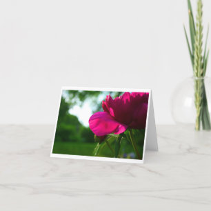 Carte pour notes vide de pivoine