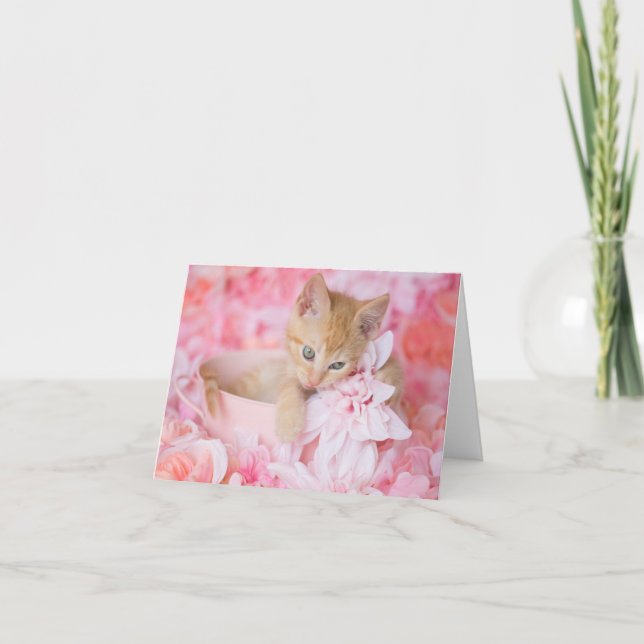 Carte pour notes vide floral de chaton de rose (Devant)