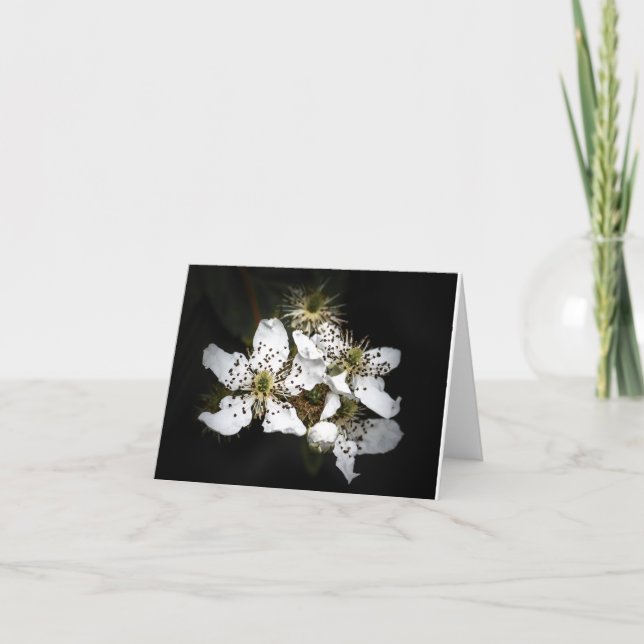 Carte pour notes vierge de fleurs (Devant)