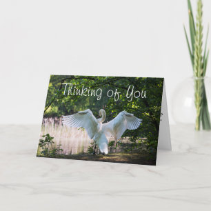 Carte Pour quelqu'un qui est Terminal Card