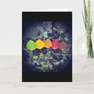 carte pour tous et toutes les saisons