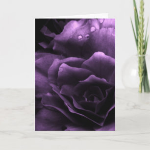 Carte Pourpre étroit d'un double bégonia