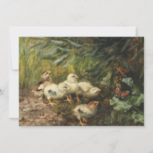 Carte Poussins et papillon   Franz Xaver Birkinger