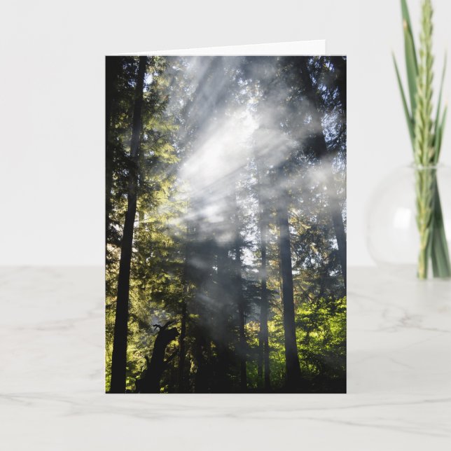 Carte Poutres (Devant)