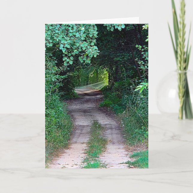 Carte Poutres solaires sympathiques sur un chemin forest (Devant)