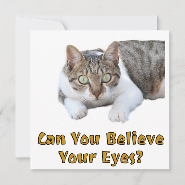 Carte Pouvez-Vous Croire Vos Yeux Mignonne Cat Art (Devant)