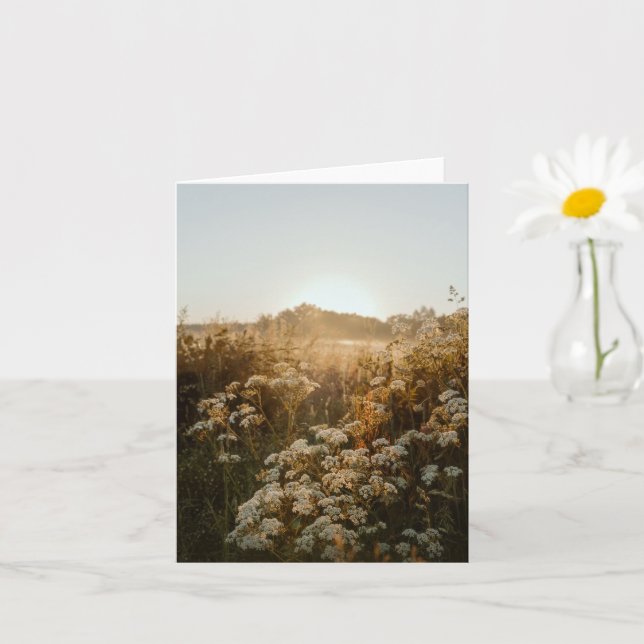 Carte Prairie au lever du soleil serein (Petite plante)