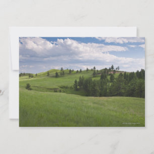 Carte Pré à Custer State Park