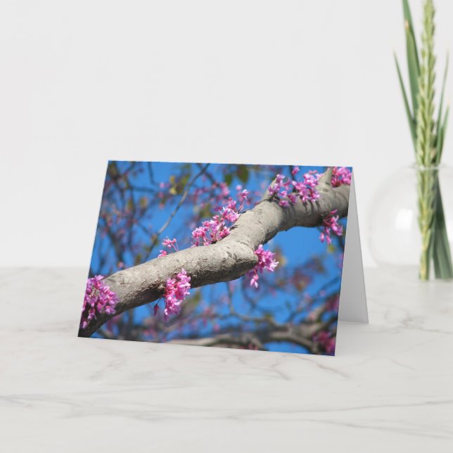 Carte Premier jour de ressort (Devant)