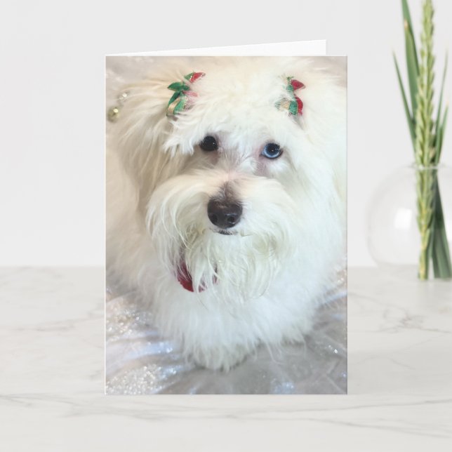 Carte Premier Noël (Devant)