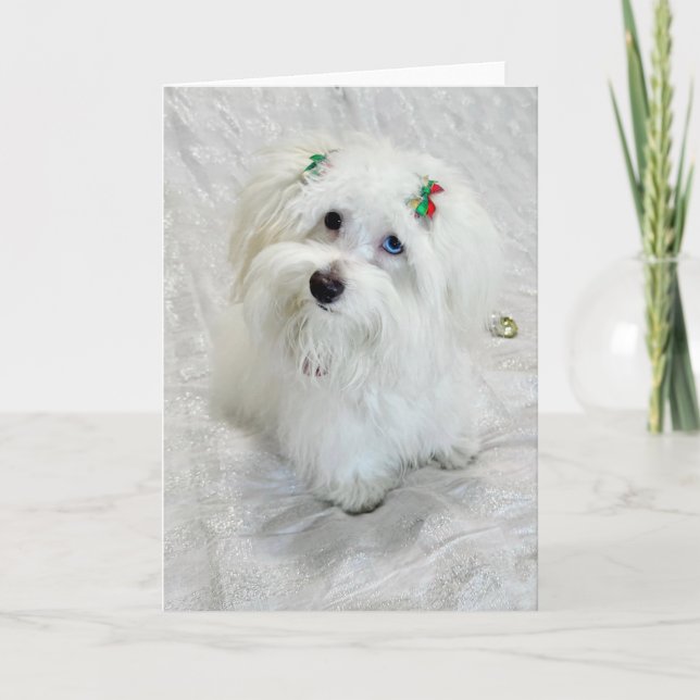 Carte Premier Noël (Devant)