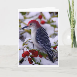 CARTE PRENDRE LE TEMPS DE TWEETER POUR DIRE HEUREUX ANNI