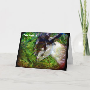 Carte Prenez le temps de vous arrêter et d'sentir les fl