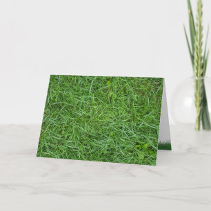 Carte près de l'herbe verte