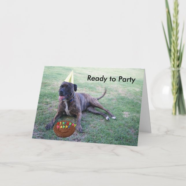 Carte Prêt à faire la fête avec le chien d'anniversaire  (Devant)