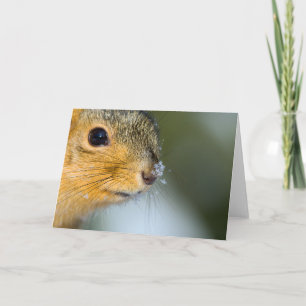 Carte Prêt pour le printemps