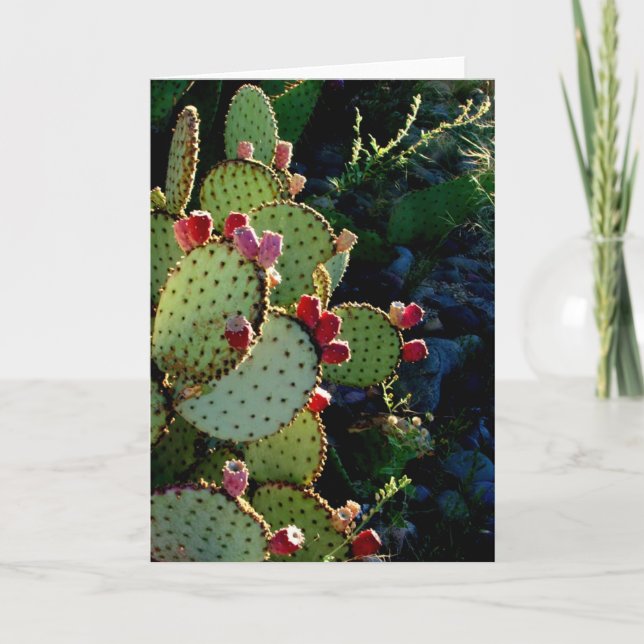 Carte Prickly Pear Cactus (Devant)