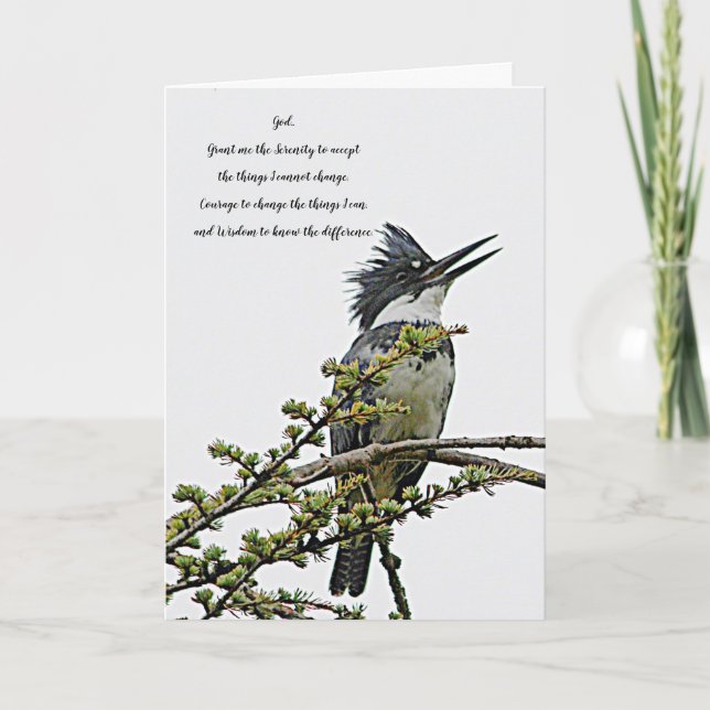 Carte Prière de sérénité Belé Kingfisher Bird Blank (Devant)