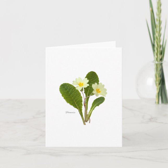Carte Primrose (Devant)