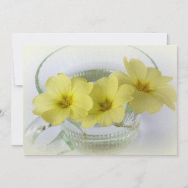 Carte primrose dans une tasse de café (Devant)