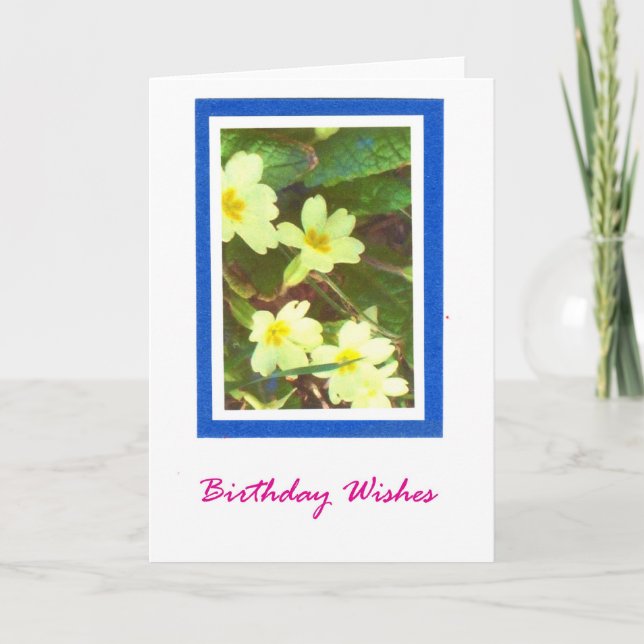 Carte Primroses Birthday Card (Devant)
