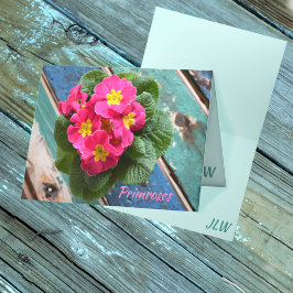 Carte Primroses rose Turquoise et Turquoise Note rustiqu