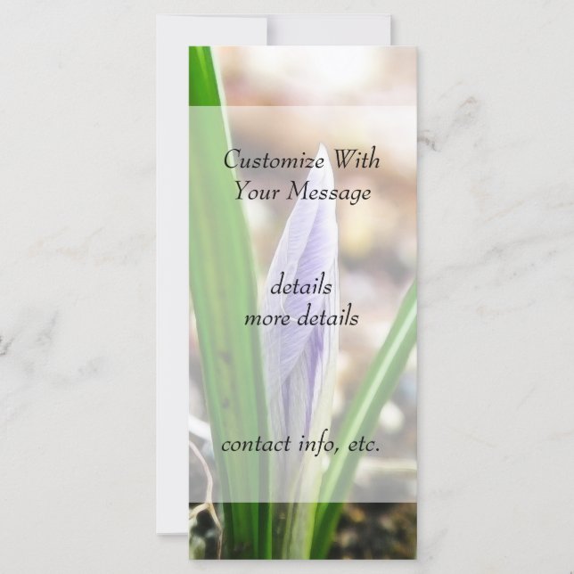 Carte Printemps ! Crocus Bud (Devant)