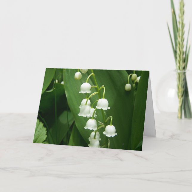 Carte Printemps Dans Le Maine (Devant)