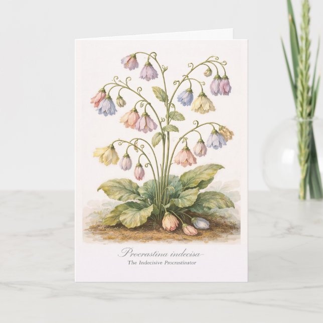 Carte Procrastina indecisa Le Procrastinateur Indécis (Devant)