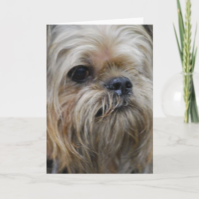 Carte Produit de personnaliser (Devant)