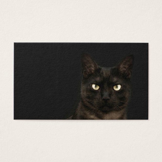 carte profil chat éffrayant (Devant)