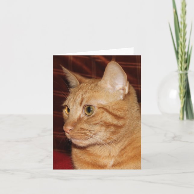 Carte Profil de visage de chat Tabou orange (Devant)