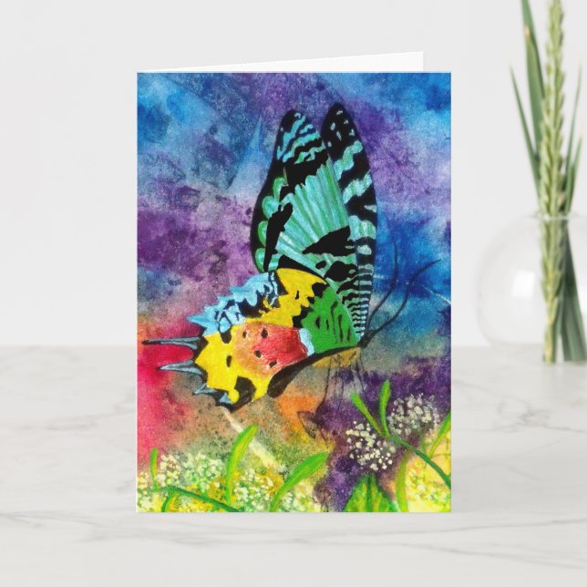 Carte Profil Madagascar Splash (Devant)