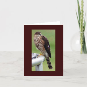 Carte Profil parfait