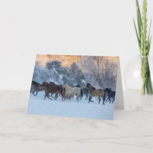 Carte Promenade à cheval en hiver sur Hideout Ranch