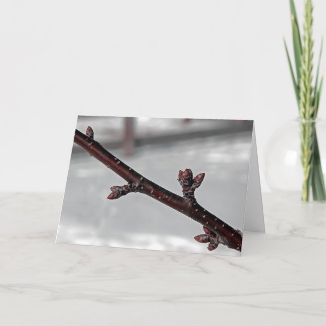 Carte Promesse du printemps (Devant)