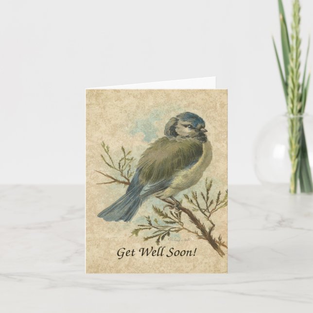 Carte Prompt rétablissement, Mésange bleue vintage (Devant)
