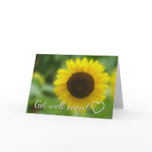 Prompt rétablissement : Tournesol lumineux et joye