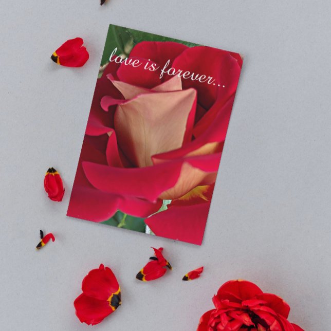 Carte Proposition de mariage personnalisé Rose rouge et  (In Situ)