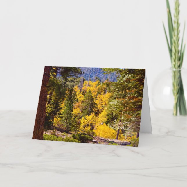 Carte Psalm 95:2 (Devant)